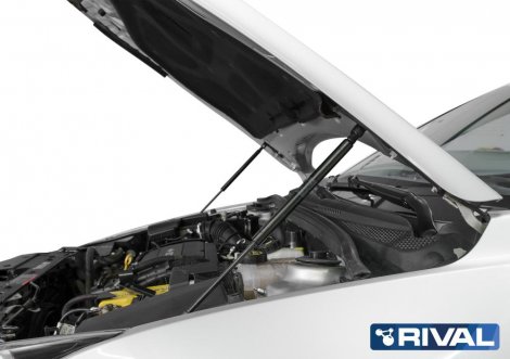 Газовые упоры (амортизаторы) капота Rival для Chevrolet Cruze