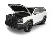 Газовые упоры (амортизаторы) капота АвтоУпор UHAH3011 для Haval H3