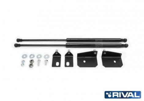 Газовые упоры (амортизаторы) капота Rival для Mitsubishi ASX