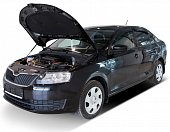 Газовые упоры (амортизаторы) капота АвтоУпор USKRAP012 для Skoda Rapid