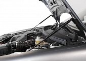 Газовые упоры (амортизаторы) капота АвтоУпор ULAPRI012 для Lada Priora