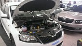 Газовый упор (амортизатор) капота A-ENGINEERING KU-SK-RP00-00 для Skoda Rapid