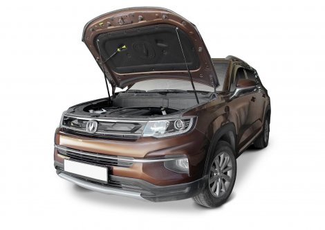 Газовые упоры (амортизаторы) капота Rival A.ST.8903.1 для Changan CS35 Plus