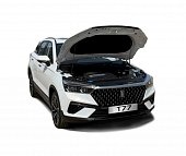 Газовые упоры (амортизаторы) капота АвтоУпор UFAT77011 для FAW Bestune T77