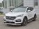 Передняя защита Russtal с надписью для Hyundai Santa Fe (2015-2018)