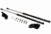 Газовые упоры (амортизаторы) капота Arbori ARBORI.HD.055103 для Haval Jolion (2021-н.в.)