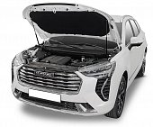 Газовые упоры (амортизаторы) капота АвтоУпор UHAJOL011 для Haval Jolion