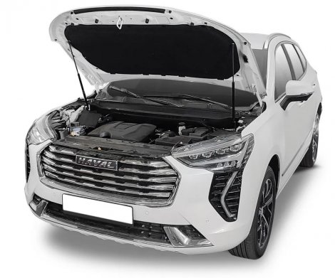Газовые упоры (амортизаторы) капота АвтоУпор UHAJOL011 для Haval Jolion