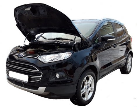 Газовые упоры (амортизаторы) капота Autoinnovation для Ford Ecosport