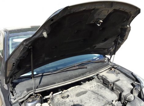 Газовые упоры (амортизаторы) капота Autoinnovation для Ford Focus (2008-2011)