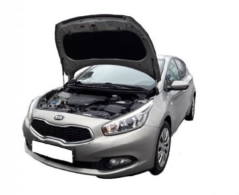 Газовые упоры (амортизаторы) капота Autoinnovation для Kia Ceed (2012-2018)