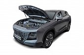 Газовые упоры (амортизаторы) капота АвтоУпор UJEDAS011 для Jetour Dashing