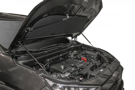Газовые упоры (амортизаторы) капота Автоупор UTORAV031 для Toyota RAV 4 (2019-н.в.)