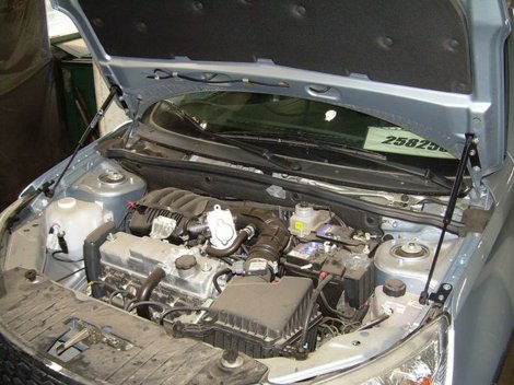 Газовые упоры (амортизаторы) капота A-ENGINEERING для Datsun on-DO