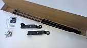 Газовые упоры (амортизаторы) капота A-ENGINEERING KU-NI-AL03-02 для Nissan Almera