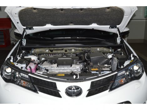 Газовые упоры (амортизаторы) капота Патриот для Toyota RAV 4