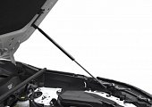 Газовые упоры (амортизаторы) капота RW9HR0E110 для Toyota Highlander (2020-н.в.)