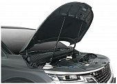 Газовые упоры (амортизаторы) капота Автоупор UKICAR011 для Kia Carnival (2020-н.в.)