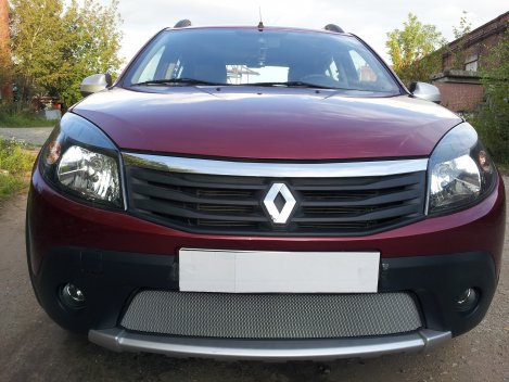 Защитная сетка радиатора ProtectGrille для Renault Sandero Stepway (2010-2014 Хром)