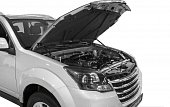 Газовые упоры (амортизаторы) капота Rival A.ST.2002.1 для Great Wall Hover H3 (2014-2016)