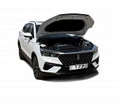 Газовые упоры (амортизаторы) капота Rival A.ST.8001.1 для FAW Bestune T77