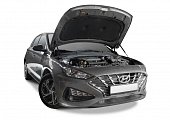Газовые упоры (амортизаторы) капота Автоупор UHYI30021 для Hyundai i30 (2020-н.в.)