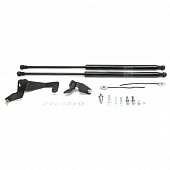 Газовые упоры (амортизаторы) капота для Hyundai Elantra (2013-2016)   Rival 2A.ST.2305.1