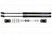 Газовые упоры (амортизаторы) капота Arbori ARBORI.HD.050102 для Changan CS55