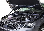 Газовые упоры (амортизаторы) капота АвтоУпор USKOA7012 для Skoda Octavia (2013-2020)