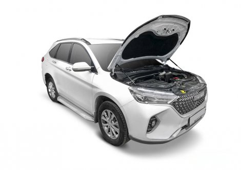 Газовые упоры (амортизаторы) капота Rival UHAM6011 для Haval M6