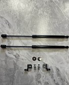 Газовые упоры (амортизаторы) капота Dragon Face DrFVWGP04-14 для Volkswagen Golf Plus (2004-2014)