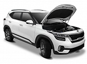 Газовые упоры (амортизаторы) капота Автоупор UKISEL011 для Kia Seltos