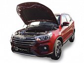 Газовые упоры (амортизаторы) капота A-ENGINEERING KU-LI-X700-00 для Lifan X70