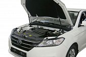 Газовые упоры (амортизаторы) капота АвтоУпор ULISOL011 для Lifan Solano