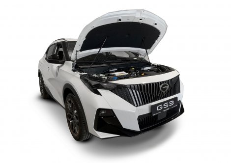 Газовые упоры (амортизаторы) капота Rival UGAGS3011 для GAC GS3