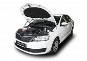 Газовые упоры (амортизаторы) капота Rival A.ST.5104.1 для Skoda Rapid