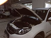 Газовые упоры (амортизаторы) капота Патриот для Chery Tiggo 3