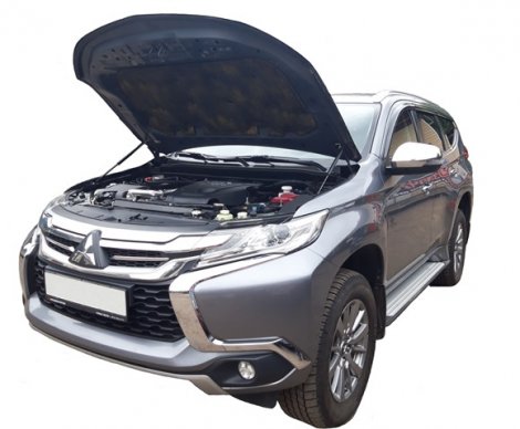 Газовые упоры (амортизаторы) капота Autoinnovation для Mitsubishi Pajero Sport (2016-2020)