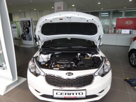 Газовые упоры (амортизаторы) капота A-ENGINEERING для Kia Cerato (2013-2018)