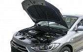 Газовые упоры (амортизаторы) капота Rival AK.2301.1 для Hyundai Elantra (2016-2019)