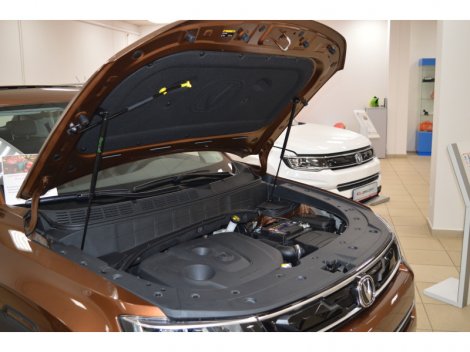 Газовые упоры (амортизаторы) капота Патриот для Changan CS35 Plus