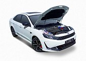 Газовые упоры (амортизаторы) капота Rival A.ST.3001.1 для Kaiyi E5
