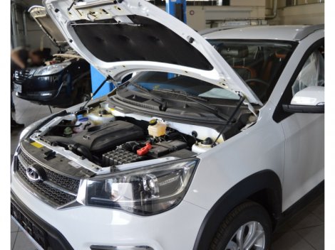 Газовые упоры (амортизаторы) капота Патриот для Chery Tiggo 2