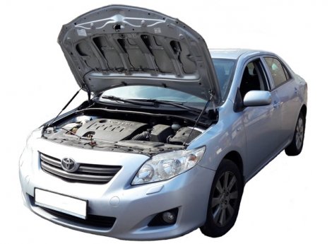 Газовые упоры (амортизаторы) капота Autoinnovation для Toyota Corolla (2006-2013)