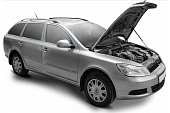 Газовые упоры (амортизаторы) капота для Skoda Octavia A5(2004-2013) АвтоУпор USKOA5011 для Skoda Octavia (2004-2013)
