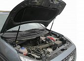 Газовые упоры (амортизаторы) капота Arbori ARBORI.HD.017103 для Chery Tiggo 2
