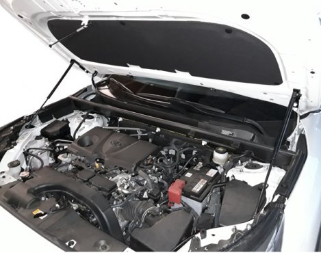 Газовые упоры (амортизаторы) капота Autoinnovation для Toyota RAV 4 (2018-н.в.)