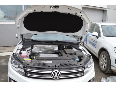 Газовые упоры (амортизаторы) капота Патриот для Volkswagen Tiguan