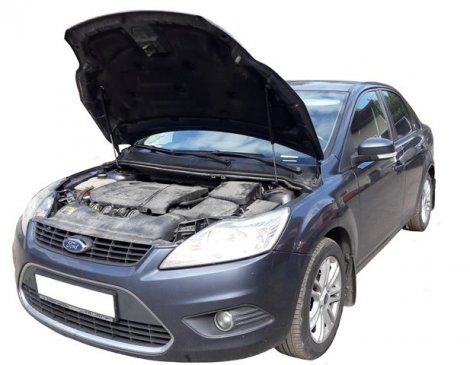 Газовые упоры (амортизаторы) капота Autoinnovation для Ford Focus (2008-2011)