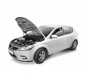 Газовые упоры (амортизаторы) капота Автоупор UKICEE031 для Kia Ceed (2006-2012)